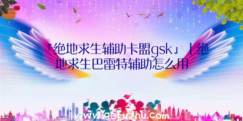 「绝地求生辅助卡盟gsk」|绝地求生巴雷特辅助怎么用